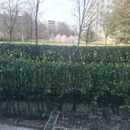 B&B D'Ambrosio ミラノ エクステリア 写真